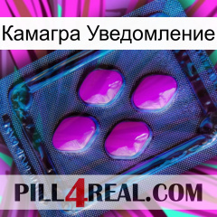 Камагра Уведомление 04